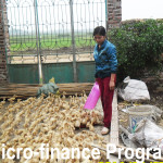 MicroFinance 4