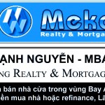 Mekong Realty new 1